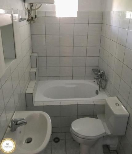 IMG 3399